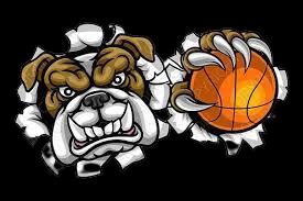 Bulldog
