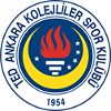 TED Ankara Kolejliler