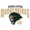 Nanjing Toupaisujiu