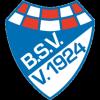 BrinkumerSV
